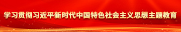 草鸡吧网站学习贯彻习近平新时代中国特色社会主义思想主题教育